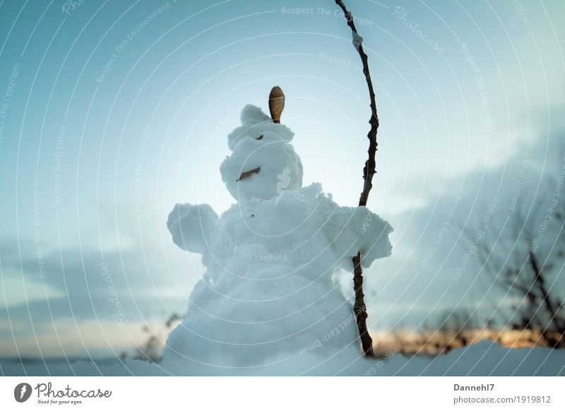 Schneekönig Jagd maskulin Sonnenaufgang Sonnenuntergang Eis Frost Baum Hut Bart Oberlippenbart beobachten frieren stehen alt dick blau braun orange weiß Macht