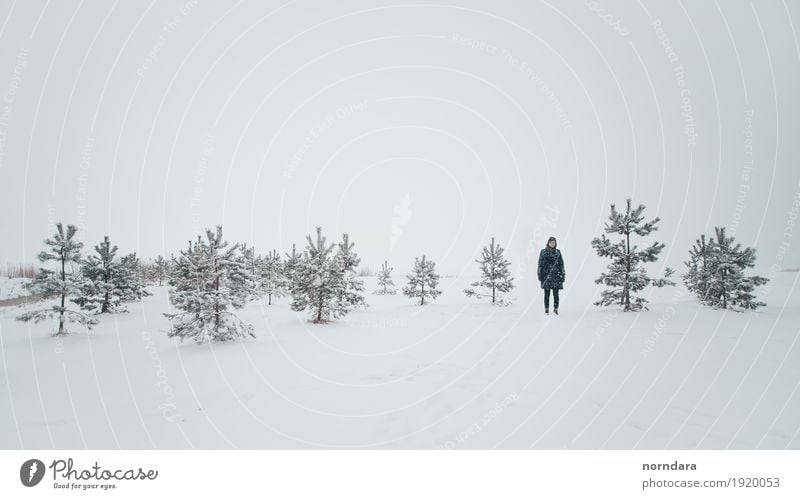 kalter Winter Tourismus 1 Mensch Umwelt Natur Luft Wetter Eis Frost Schnee Schneefall Baum Fichte Fichtenwald Kiefer Feld wandern Winterurlaub leer Silhouette