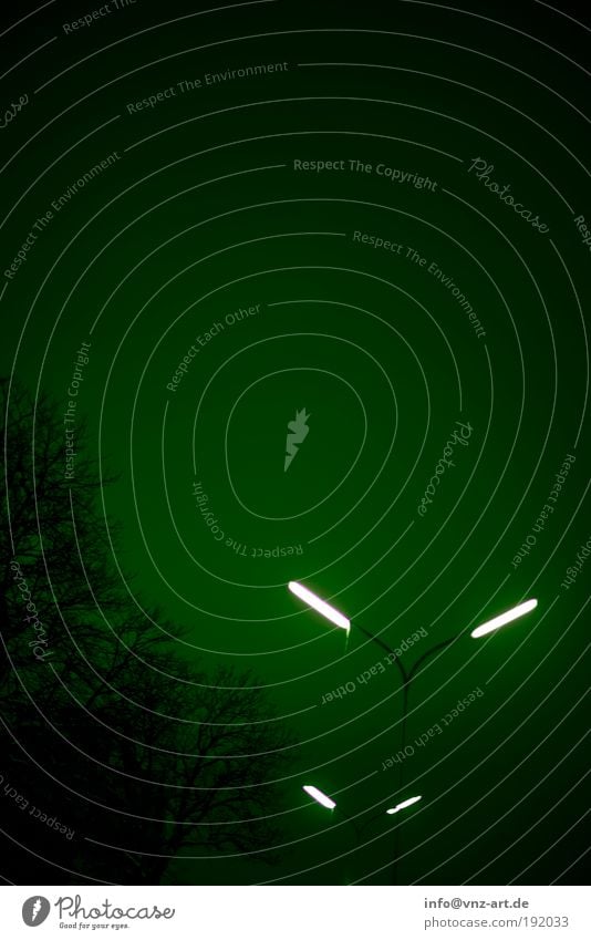 GreenSky Umwelt Park Kleinstadt Menschenleer Bahnhof dunkel Stimmung Traurigkeit Laterne Lampe Straßenbeleuchtung Beleuchtung Farbfoto Außenaufnahme Nacht