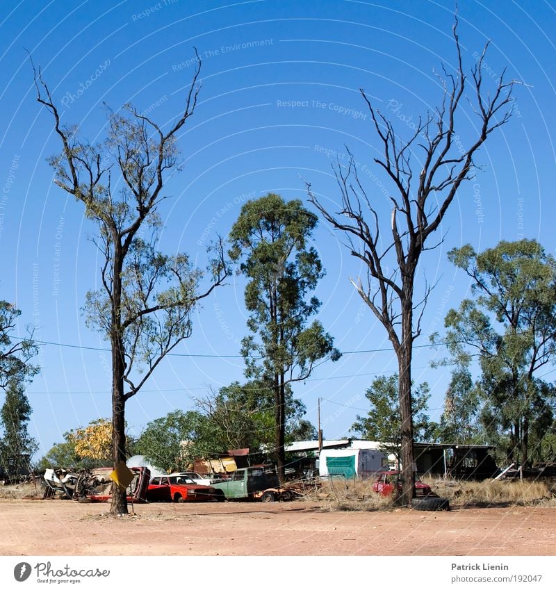 Abgebrannt Ferne Camping Sommer Umwelt Landschaft Feuer Himmel Wolkenloser Himmel Klima Klimawandel Schönes Wetter Wärme Dürre Baum dehydrieren PKW Wohnwagen