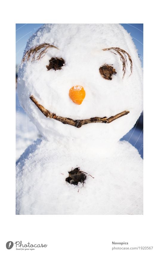 snowman II Natur Winter Eis Frost Schnee Schneefall lustig blau braun rot weiß Portrait Schneemann Augen Nase Augenbraun Möhre funny eyes nose eyebrows red