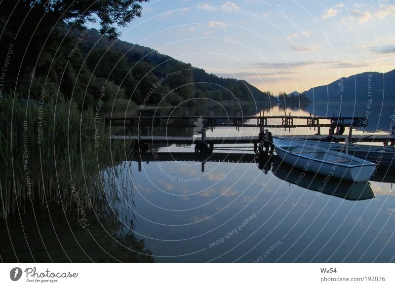 Stille über dem See harmonisch Zufriedenheit Ferien & Urlaub & Reisen Feierabend Natur Wasser Himmel Sonnenaufgang Sonnenuntergang Baum Wald Seeufer Bucht