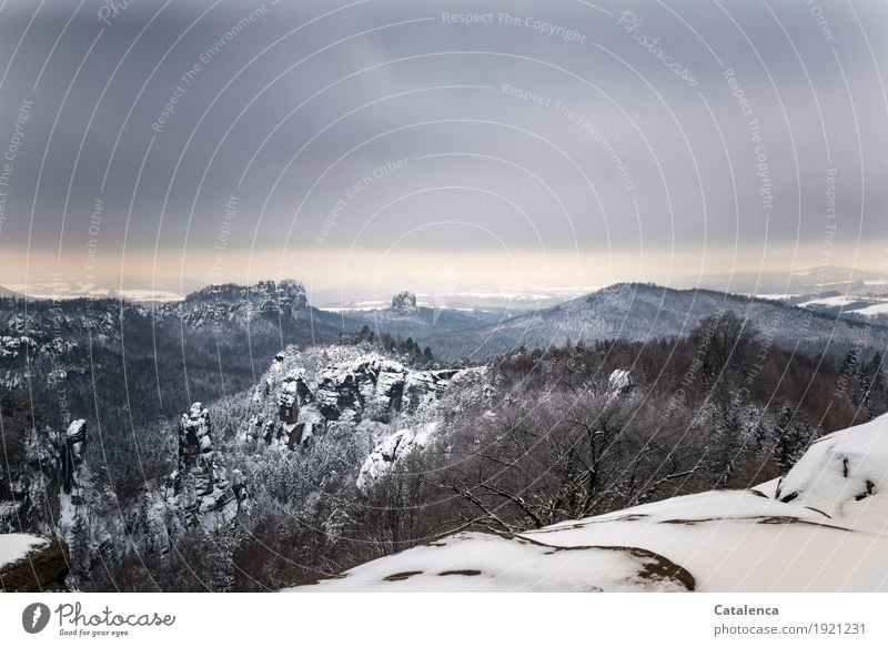 Carolafelsen, winterliche  Aussicht Winter Schnee wandern Landschaft Gewitterwolken schlechtes Wetter Eis Frost Sträucher Buche Tanne Wald Felsen