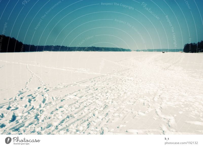 Flusslandschaft ruhig Freiheit Winter Schnee Himmel Wolkenloser Himmel Schönes Wetter Eis Frost Havel Erholung wandern Unendlichkeit hell kalt natürlich blau