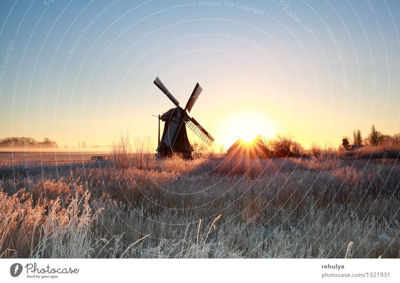 schöner Sonnenaufgang hinter Windmühle im Winter Natur Landschaft Himmel Gras Wiese Gebäude Architektur blau gold Gutshaus Stern Sonnenschein Sonnenstrahlen