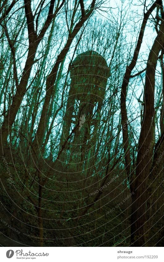 Der Turm Umwelt Natur Landschaft Pflanze Herbst Nebel Baum Park Wald Stadtrand Bauwerk Wasserturm Sehenswürdigkeit bedrohlich gruselig träumen Trauer Tod Angst