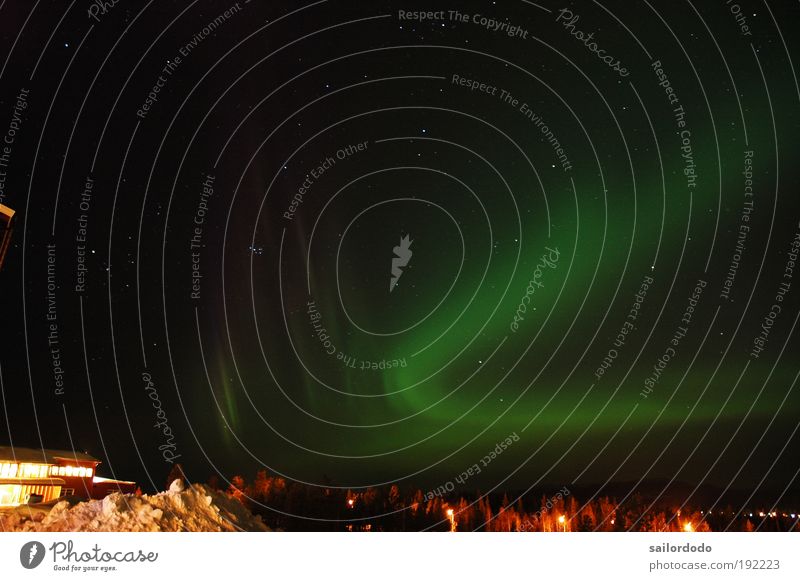 Polarlicht in Arjeplog Natur Nachthimmel Nordlicht grün schwarz Stimmung Überraschung Fernweh Schüchternheit Polarnacht Farbfoto Außenaufnahme Menschenleer