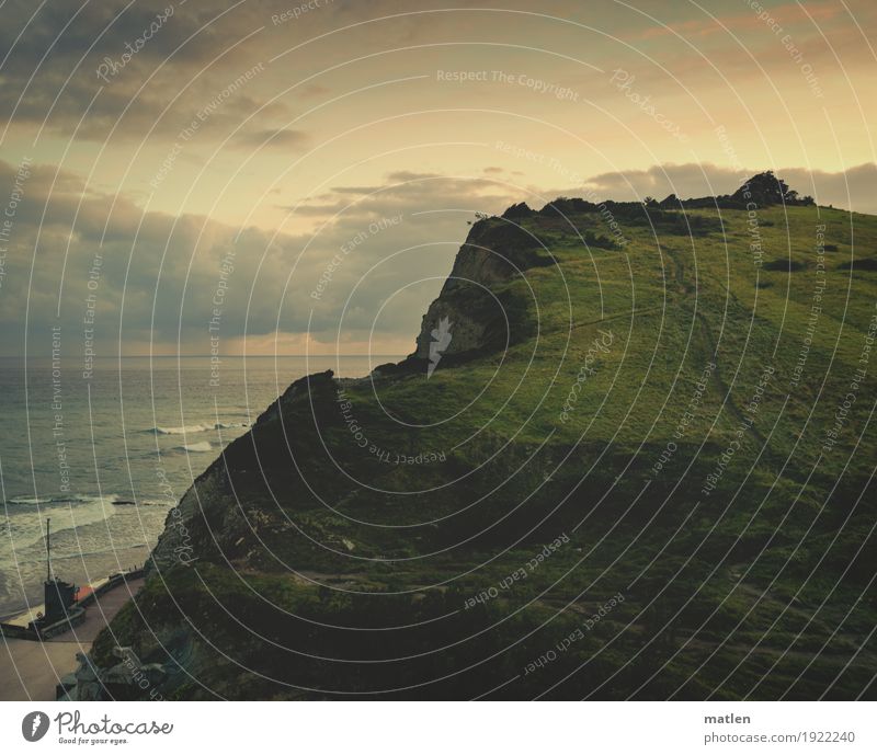 Berge und Meer Natur Landschaft Pflanze Wasser Himmel Wolken Horizont Sonnenaufgang Sonnenuntergang Wetter Schönes Wetter Gras Wiese Hügel Felsen Wellen Küste