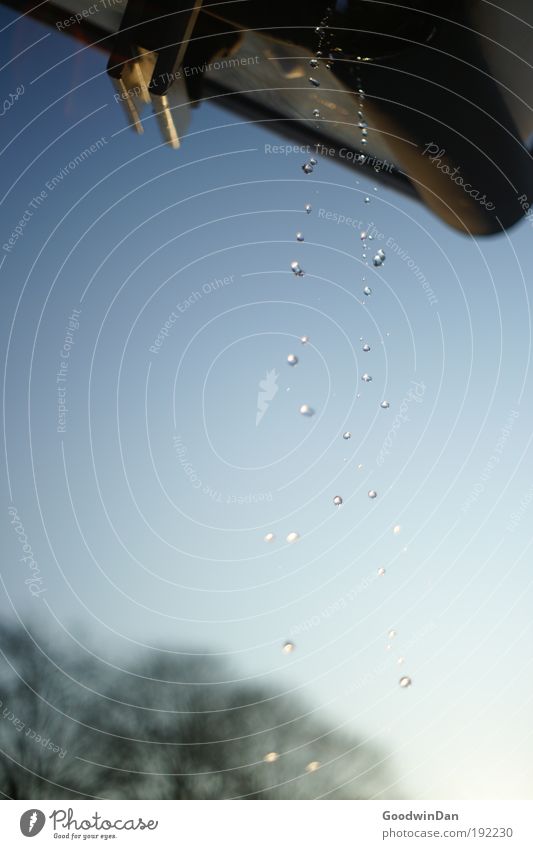 Tropfend Umwelt Natur Wassertropfen Himmel Schönes Wetter Baum Wasserrinne Stahl Rost genießen machen Blick nass Farbfoto Außenaufnahme Detailaufnahme