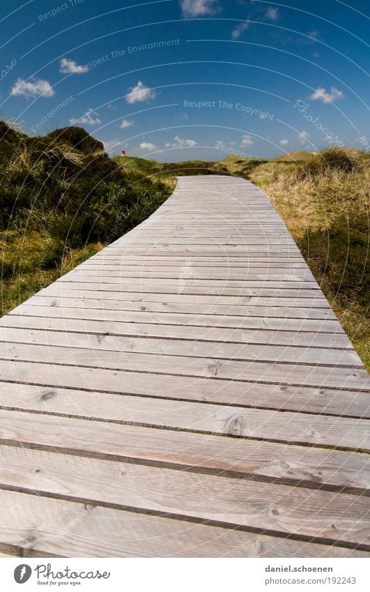 Amrum_1 Ferien & Urlaub & Reisen Tourismus Freiheit Sommer Sommerurlaub Sonne Strand Meer Insel Umwelt Natur Landschaft Wetter Schönes Wetter Küste Nordsee blau