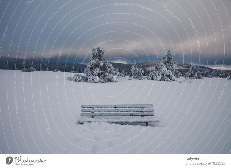 Ein frostiges Plätzchen Schnee Winterurlaub Umwelt Natur Landschaft Himmel Gewitterwolken Horizont Klima Wetter Eis Frost Schneefall Baum Tanne Wald Hügel Heide