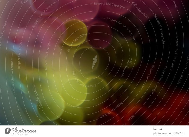 Röhrla [aka Trinkhalme] Erfrischungsgetränk Röhren genießen mehrfarbig gelb grün violett rot Röhrchen Öffnung Lensbaby Farbfoto Innenaufnahme Nahaufnahme