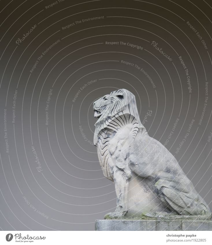 steinerner Löwe vor Wand Löwenstatue Skulptur Stein Denkmal grau sitzen Bauwerk Beton Architektur Mauer Fassade Versteinert Statue bewachen Farbfoto