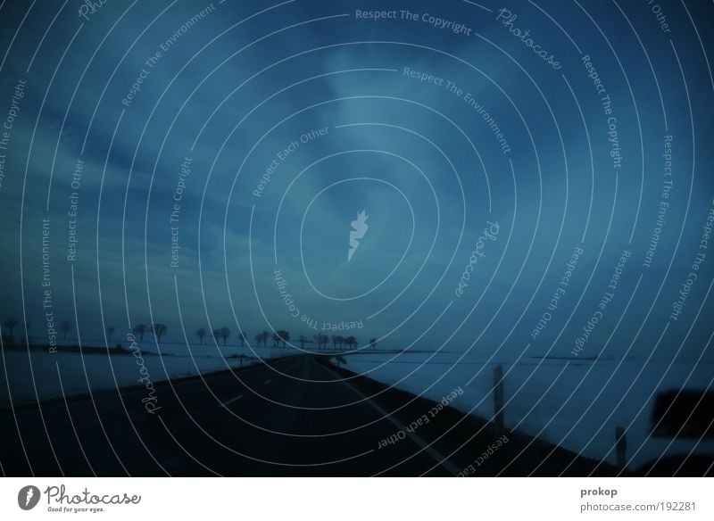Road Trippin' Umwelt Natur Landschaft Himmel Wolken Horizont Klima Wetter schlechtes Wetter Schnee Baum Feld fahren Straße Landstraße Ferien & Urlaub & Reisen