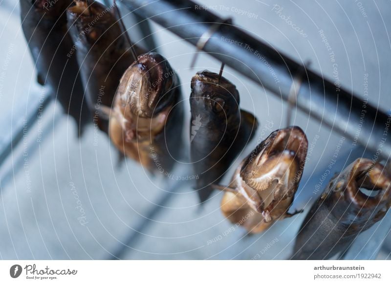 Geräucherte Fische am Haken frisch aus dem Räucherofen Lebensmittel Fleisch geräuchert Ernährung Mittagessen Abendessen Büffet Brunch Bioprodukte Slowfood