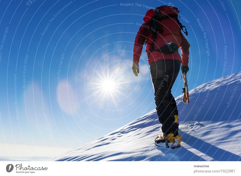 Bergsteiger an der Spitze einer schneebedeckten Spitze in den Alpen. Ferien & Urlaub & Reisen Abenteuer Expedition Winter Schnee Berge u. Gebirge wandern Sport