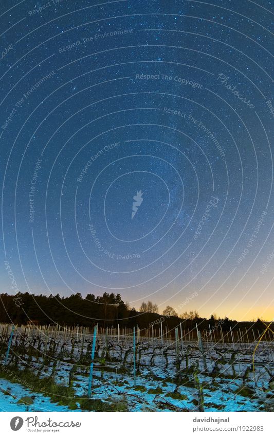 Astro-Landschaft Winter Schnee Natur Himmel Wolkenloser Himmel Nachthimmel Stern Baum Nutzpflanze Feld Wald Hügel ästhetisch blau gelb Fernweh Abenteuer