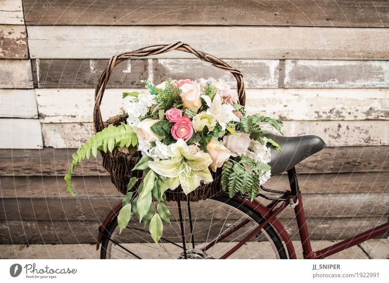 Weinlesefahrrad mit Blume Design Ferien & Urlaub & Reisen Sommer Winter Schnee Garten Dekoration & Verzierung Natur Pflanze Wetter Baum Gras Blüte Wald Verkehr