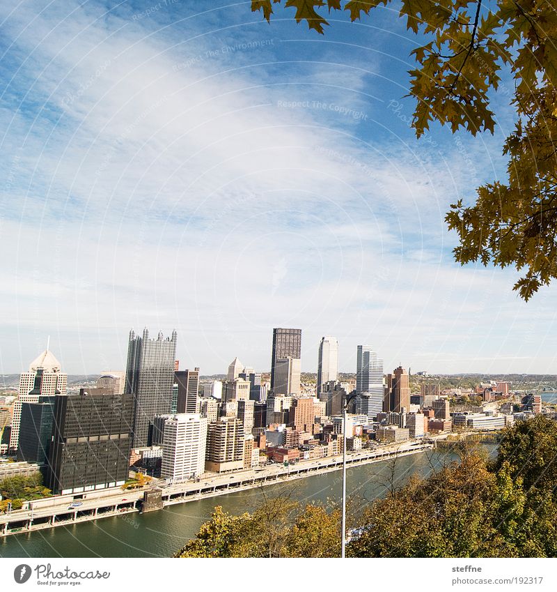 urbanatur Himmel Herbst Schönes Wetter Baum Flussufer Pittsburgh USA Hafenstadt Stadtzentrum Skyline überbevölkert Hochhaus Bankgebäude Farbfoto Außenaufnahme