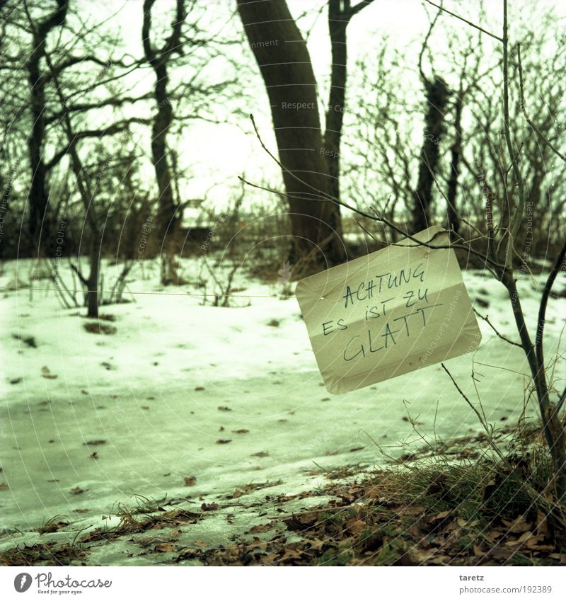 Überzeugend Natur Urelemente Klima Wetter Schönes Wetter schlechtes Wetter Eis Frost Baum Sträucher Küste Nordsee Schriftzeichen Schilder & Markierungen