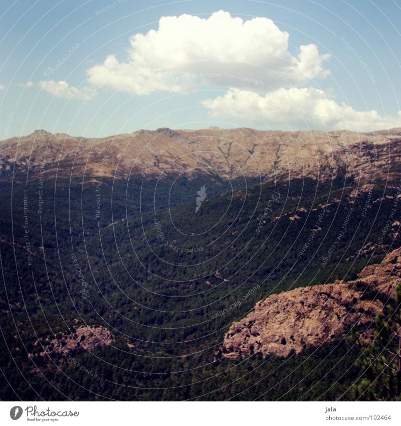 Natur pur Landschaft Himmel Wolken Sommer Schönes Wetter Baum Wald Felsen Berge u. Gebirge Lebensfreude Aussicht Farbfoto Außenaufnahme Menschenleer Tag