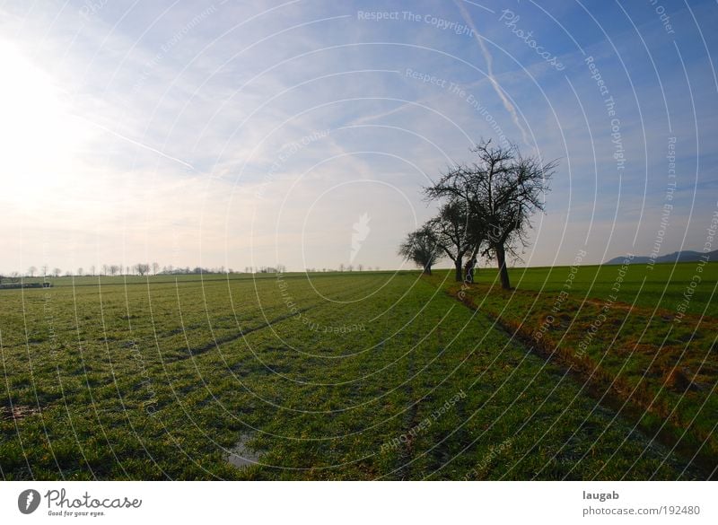 Ein Landstrich Umwelt Natur Landschaft Erde Sonnenlicht Sommer Baum ästhetisch blau braun grün Gefühle Stimmung Kraft Mut gehorsam Verantwortung Vorsicht ruhig