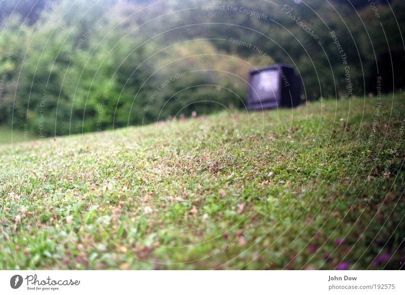 Die WM kann kommen Fernseher Schönes Wetter Gras Sträucher Garten Park Wiese Fernsehen schauen grün Sperrmüll Rest Umweltverschmutzung Public Viewing