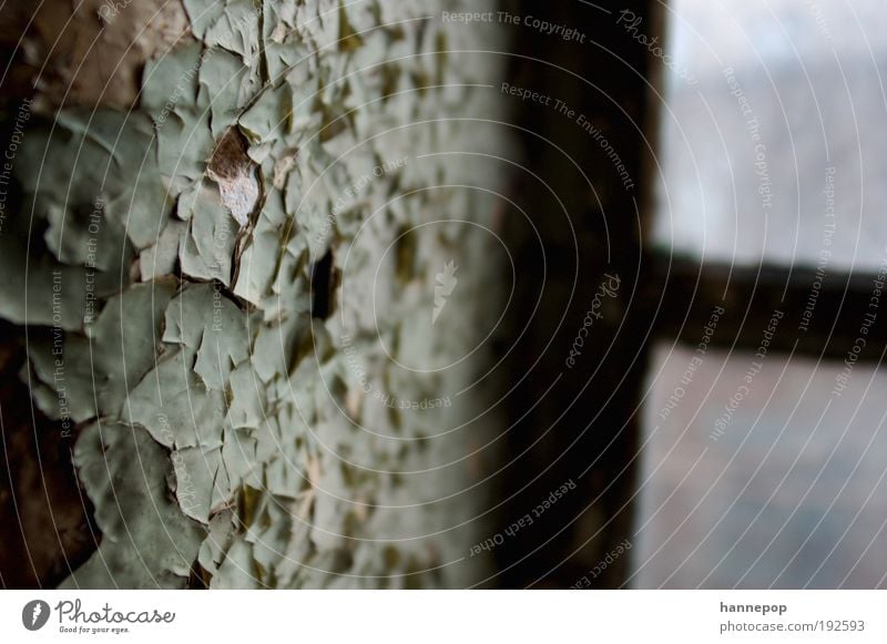 es bröckelt leicht Industrieanlage Ruine Mauer Wand Fenster Stein Beton Glas alt trist Verfall Zeit Putz abblättern Gedeckte Farben Innenaufnahme Nahaufnahme