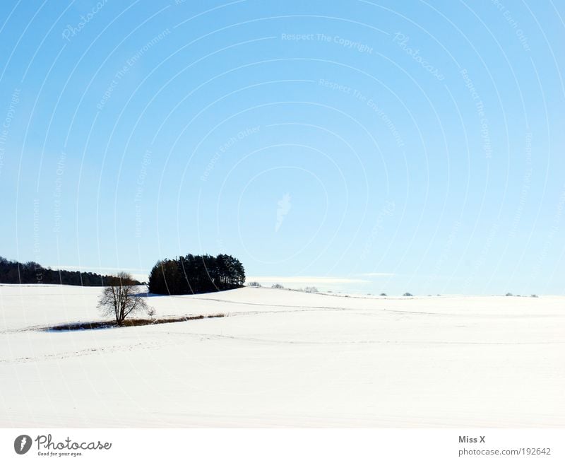 Hoffentlich das letzte Winterfoto Ferien & Urlaub & Reisen Schnee Winterurlaub Natur Landschaft Himmel Wetter Schönes Wetter Eis Frost Baum Feld Wald Hügel kalt