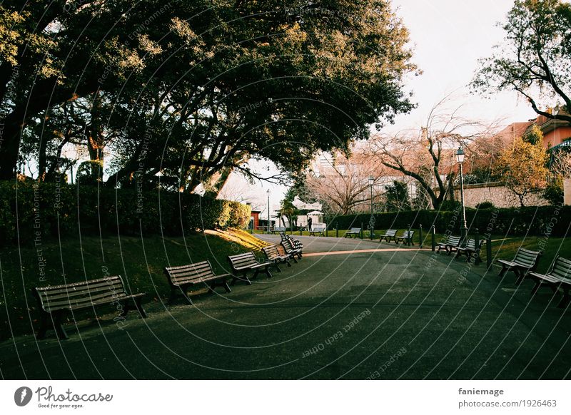 jardin du Pharo Lifestyle schön Park Bank Baum Erholung Marseille Pause Spaziergang Straße Wege & Pfade Fluchtpunkt Provence Wärme Schatten Garten Außenaufnahme