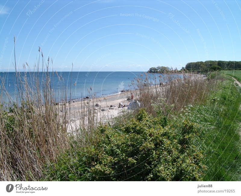 Strand von Büsum Küste Wasser Sträuche Stranddüne Himmel