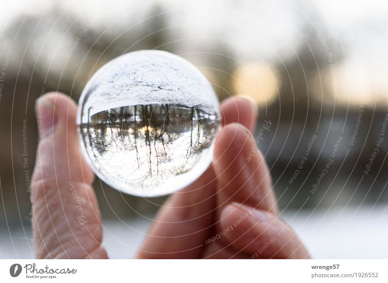 Kopfkino Umwelt Landschaft Erde Luft Park Lupe Kugel rund braun weiß kugelrund Kopfstand Hand Experiment Farbfoto Gedeckte Farben Außenaufnahme Nahaufnahme