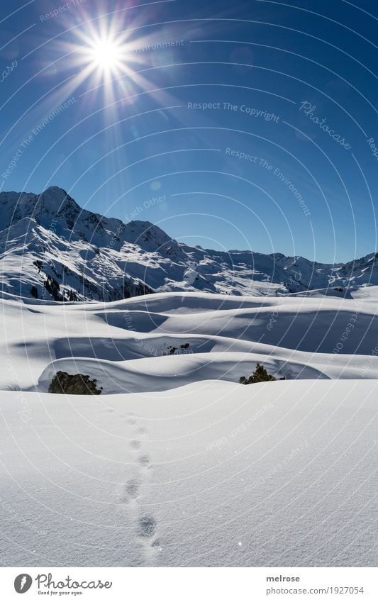 Winterwanderung II Winterurlaub Natur Landschaft Himmel Wolkenloser Himmel Sonne Sonnenlicht Schönes Wetter Schnee Felsen Berge u. Gebirge Sonnenkopf