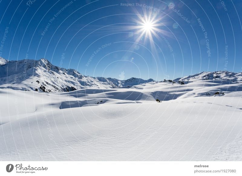 Sonnenstern und Glitzer Tourismus Winter Schnee Winterurlaub Berge u. Gebirge Natur Wolkenloser Himmel Sonnenlicht Schönes Wetter Hügel Felsen Klostertal