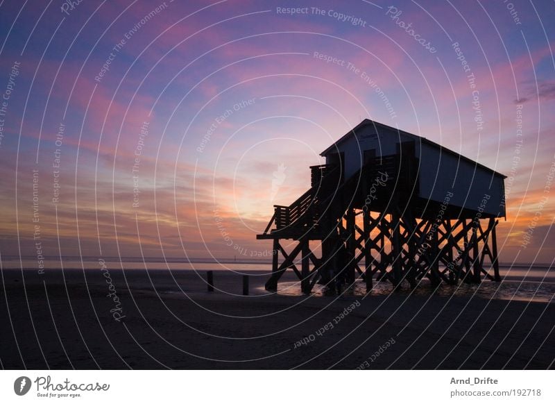 SPO harmonisch ruhig Ferne Strand Sand Wetter Küste Hütte Wege & Pfade Unendlichkeit Gelassenheit Ebbe Erde St. Peter-Ording Steg Abendsonne nordsee peter spo