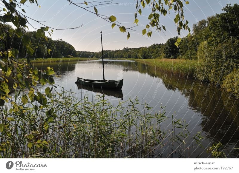 Sommersee am Abend ruhig Ferien & Urlaub & Reisen Segeln Umwelt Natur Landschaft Wasser Wolkenloser Himmel Schönes Wetter Gras Seeufer Wasserfahrzeug grün