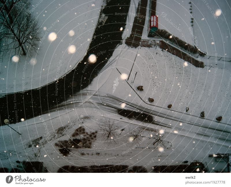 Downtown Umwelt Natur Winter Schönes Wetter Schnee Schneefall Baum Kleinstadt Straße Bürgersteig Treppe Container Asphalt Blumenbeet Straßenbeleuchtung