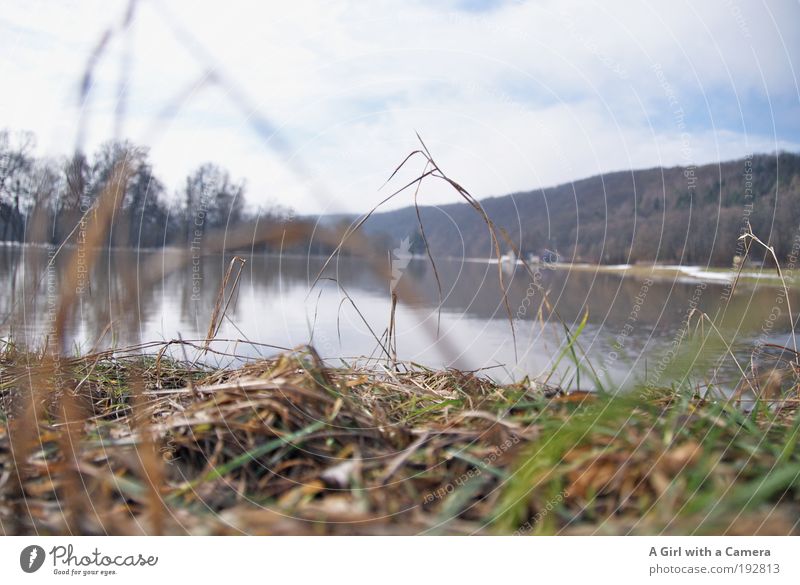 Schnee von Gestern Freiheit tauchen Fußballplatz Umwelt Natur Landschaft Pflanze Urelemente Wasser Himmel Wolken Horizont Frühling Klima Klimawandel Wetter