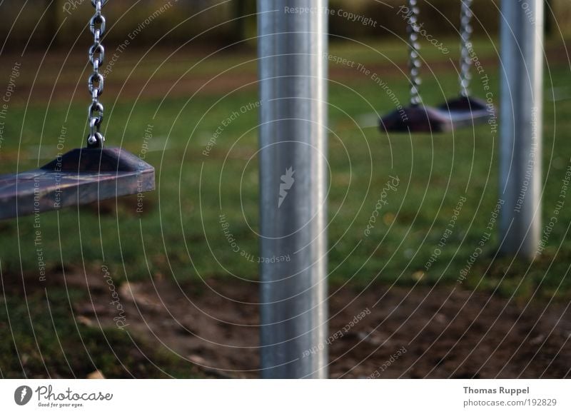 Schaukel Freude Freizeit & Hobby Spielen Kinderspiel Spielplatz Pflanze Wiese Menschenleer Schaukelkette schaukeln Farbfoto Außenaufnahme Nahaufnahme