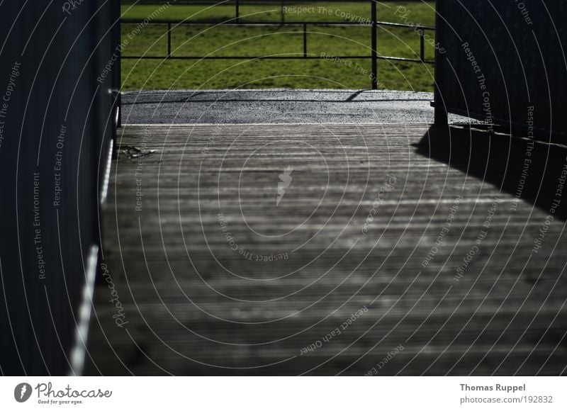 Holzbrücke Umwelt Natur Wärme Pflanze Gras Wiese Feld Menschenleer Brücke Mauer Wand Geländer Verkehrswege Wege & Pfade Zaun grau grün Vertrauen Sicherheit