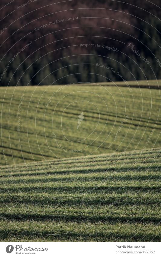 Ackerlandschaft Ferien & Urlaub & Reisen Ferne Freiheit Berge u. Gebirge Umwelt Natur Landschaft Erde Schönes Wetter Gras Feld Menschenleer ästhetisch