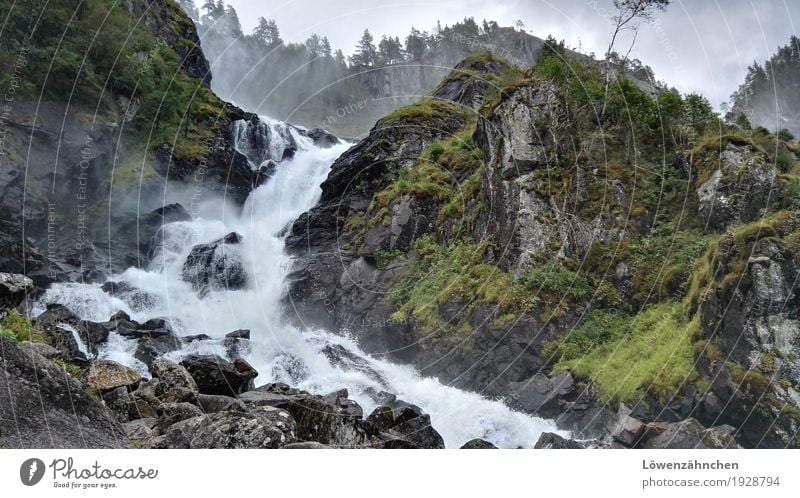 the powers that be Natur Landschaft Urelemente Wasser schlechtes Wetter Baum Gras Wasserfall Låtefossen fallen ästhetisch bedrohlich authentisch frisch nass