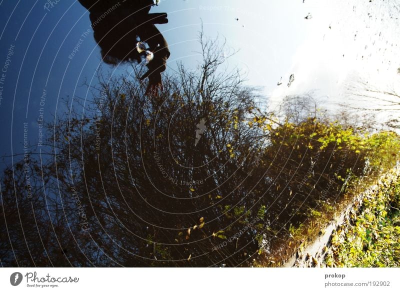 Chaos Mensch Kopf Hand Umwelt Natur Pflanze Wasser Himmel Wolkenloser Himmel Sonne Schönes Wetter Baum Gras Duft Flüssigkeit Farbe Hoffnung einzigartig Kontakt