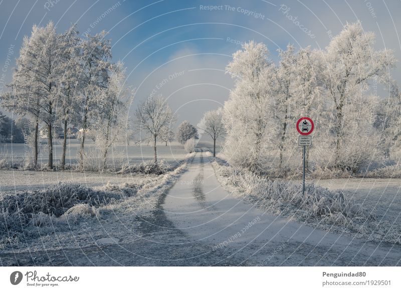 Color pop... Ferien & Urlaub & Reisen Ausflug Ferne Winter Schnee Natur Landschaft Himmel Wolken Wetter Schönes Wetter Eis Frost Baum Feld Malkes Deutschland