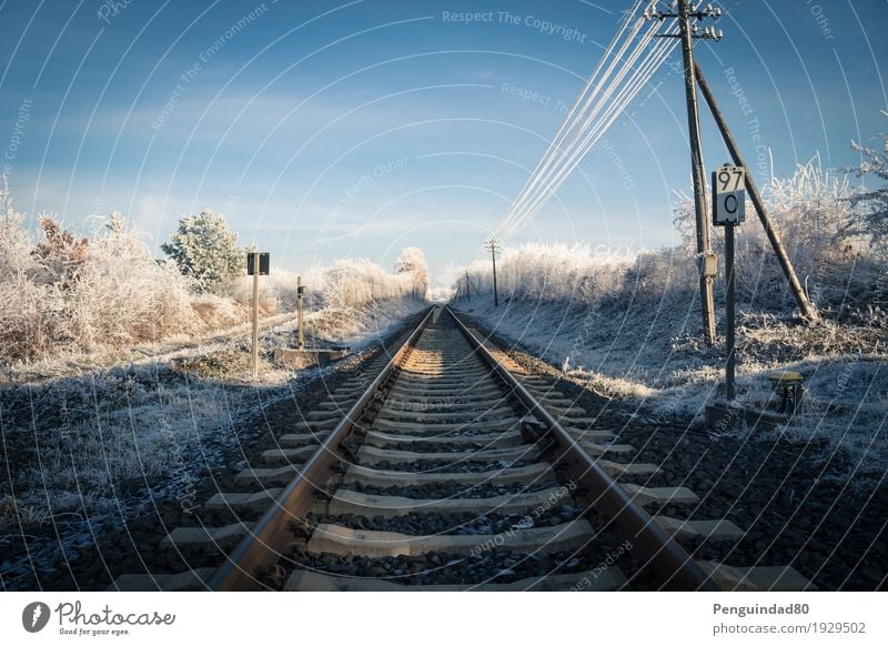 Straight forward... Ferien & Urlaub & Reisen Ausflug Ferne Winter Schnee Gleise Verkehr Verkehrsmittel Verkehrswege Bahnfahren Verkehrszeichen Verkehrsschild