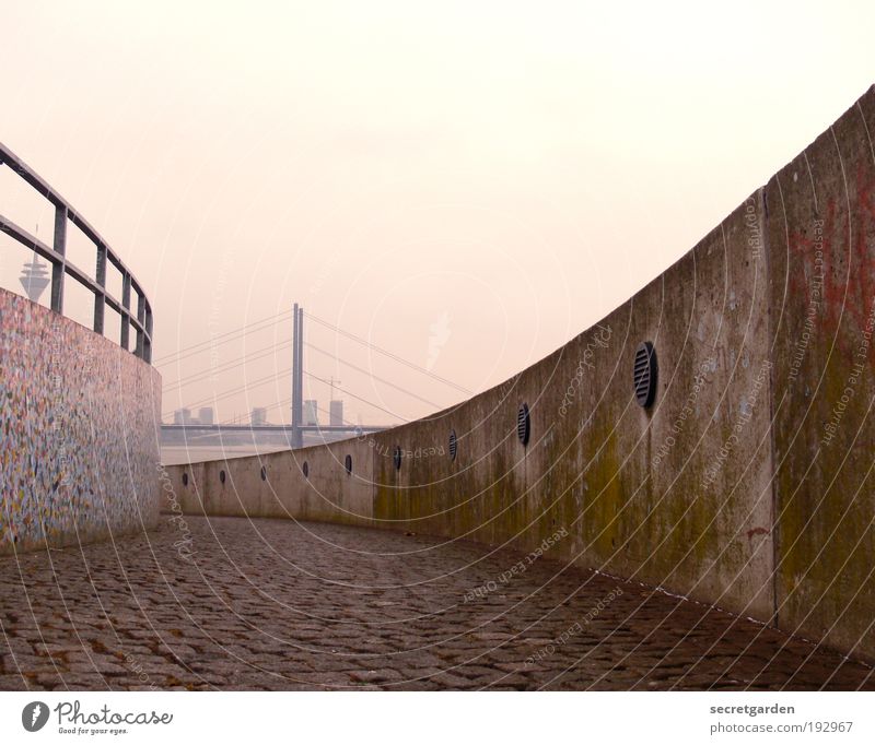 der weg ist das ziel. (und hinten noch den turm reingemogelt) Wolkenloser Himmel Horizont Schönes Wetter Düsseldorf Stadtrand Sehenswürdigkeit Fernsehturm