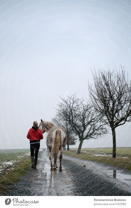 i°Q Freizeit & Hobby Reiten Mensch feminin Junge Frau Jugendliche Erwachsene Freundschaft Leben 1 18-30 Jahre Natur Landschaft Himmel Horizont schlechtes Wetter