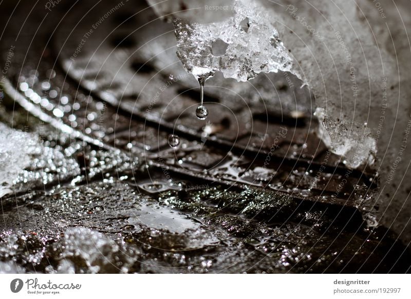 Manches Ende ist ein Anfang Wasser Wassertropfen Winter Klima Wetter Schönes Wetter Eis Frost Schnee Gully kalt nass Wärme Lebensfreude Frühlingsgefühle