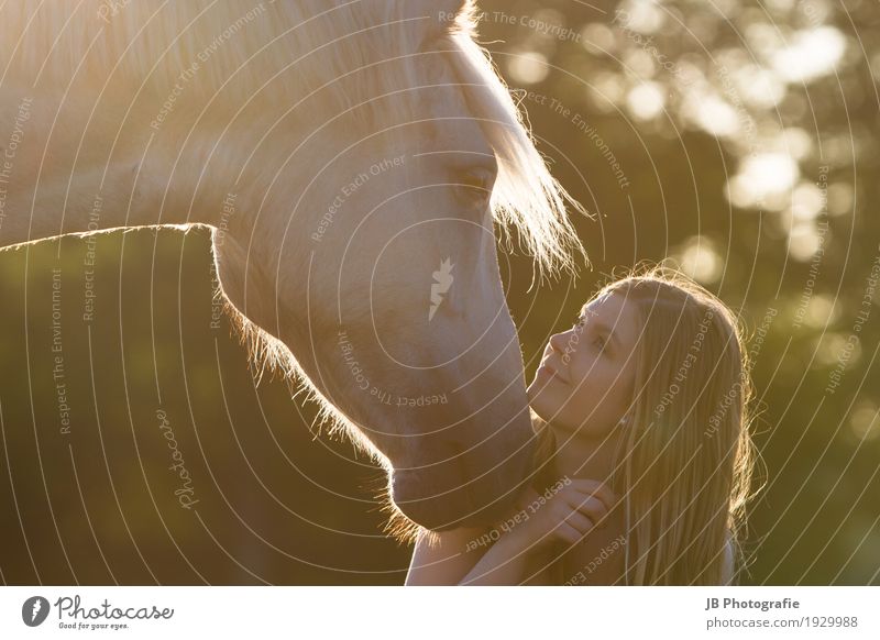 forever yours Freude Freizeit & Hobby Reiten Mensch feminin Junge Frau Jugendliche Erwachsene Kopf Haare & Frisuren Gesicht 1 18-30 Jahre Natur Sonnenaufgang