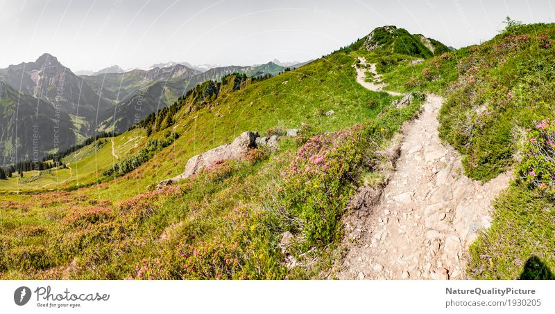 footpath in austria Alternativmedizin sportlich Fitness Allergie Leben harmonisch Wohlgefühl Zufriedenheit Sinnesorgane Erholung ruhig Meditation Kur